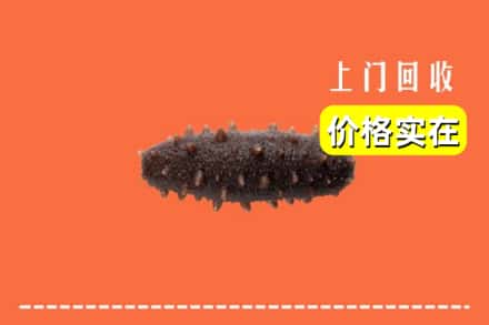绥化庆安县回收海参