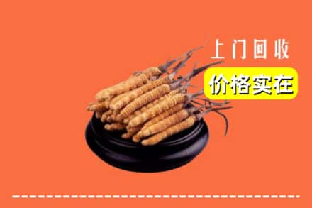 绥化庆安县回收冬虫夏草