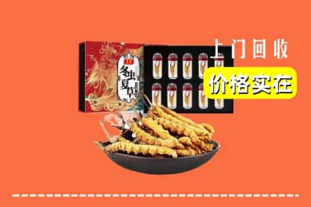 绥化庆安县回收虫草