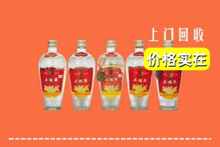 绥化庆安县回收老五粮液